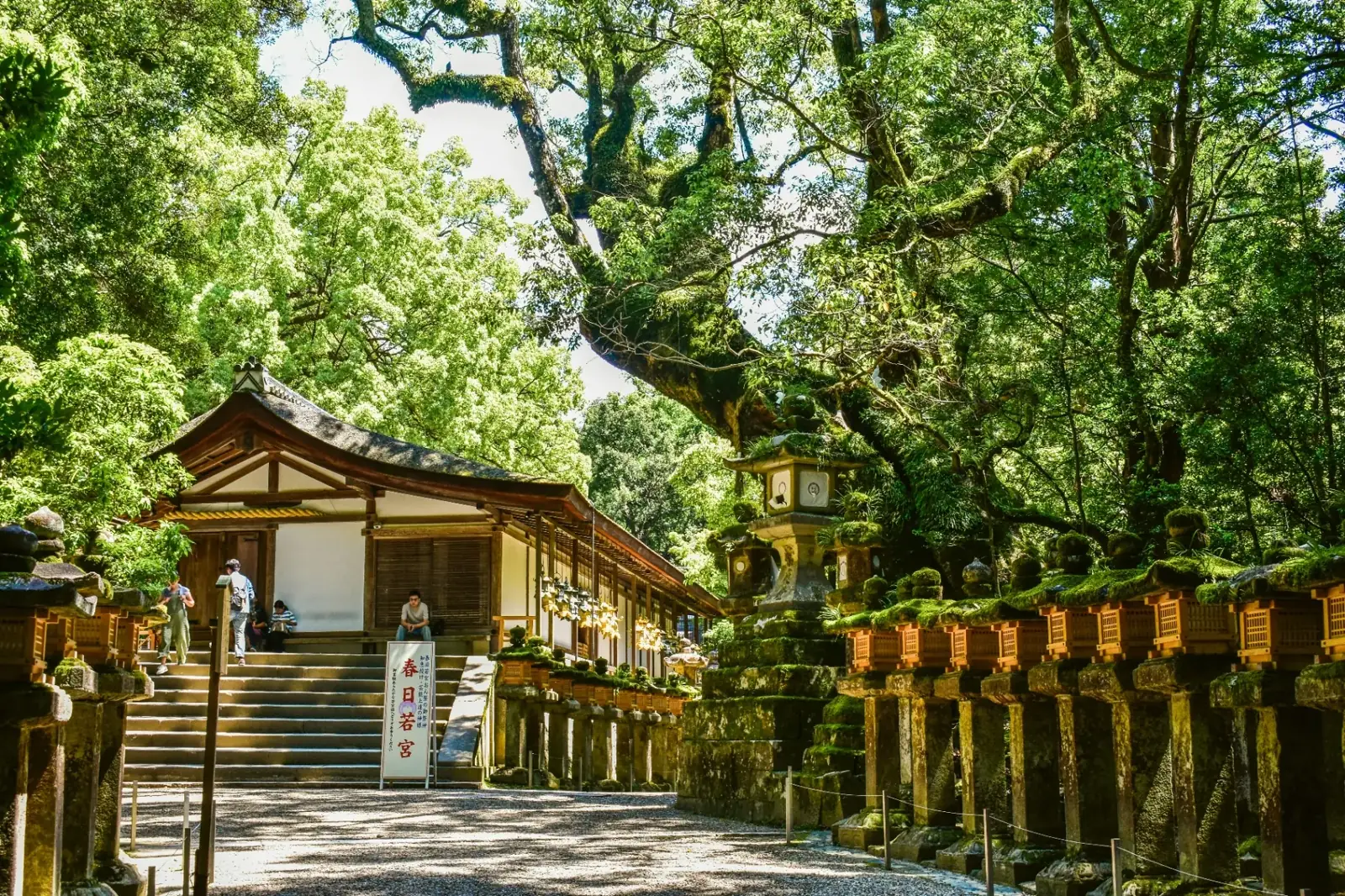 Kasuga Taisha Shrine