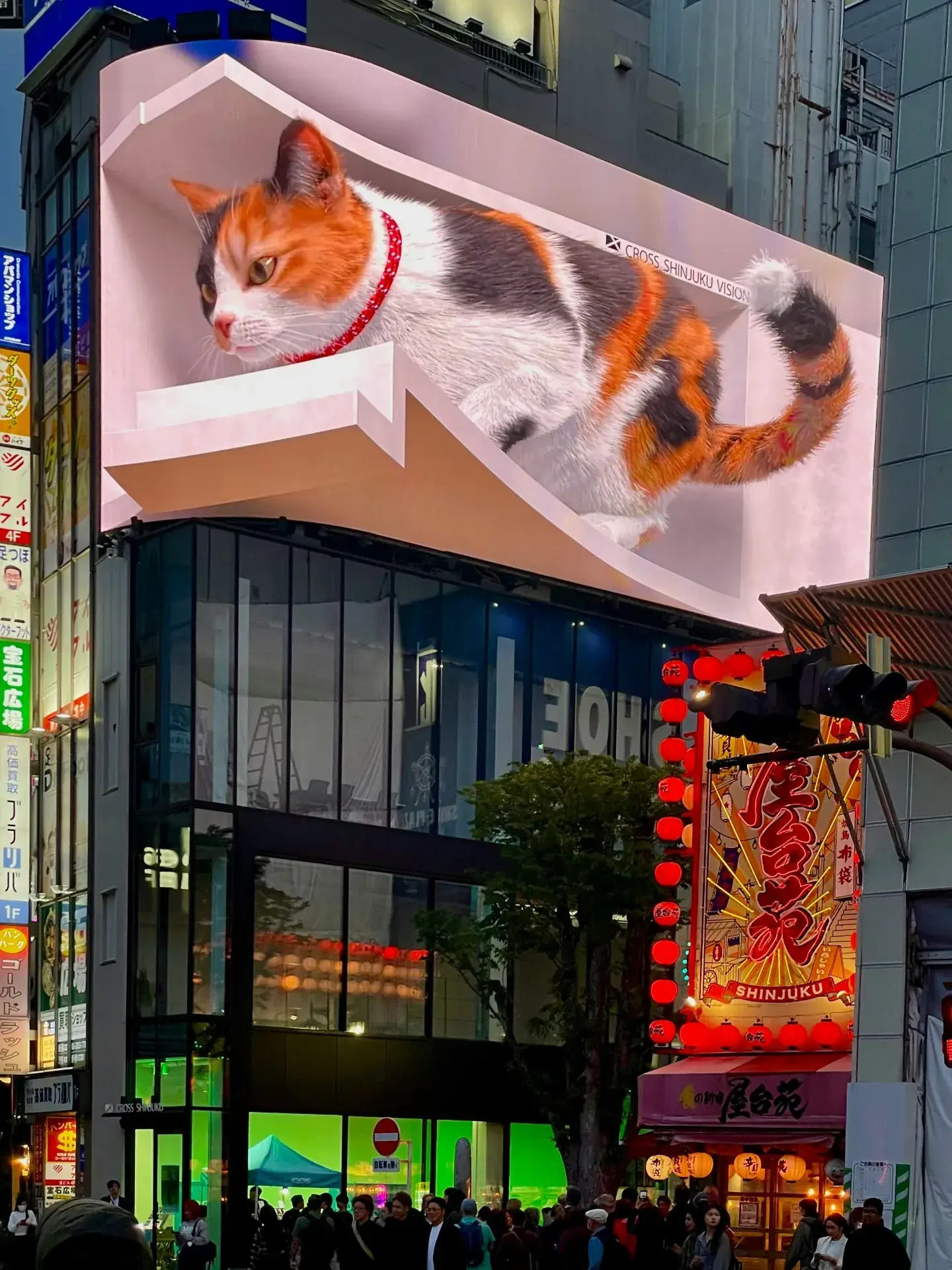 Evening Walk & Shinjuku Station Area